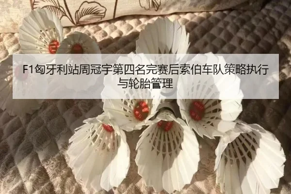 xiong-ya-li-zhan-zhou-guan-yu-di-si-ming-wan-sai-hou-suo-bo-che-dui-ce-lve-zhi-xing-yu-lun-tai-guan-li-3-173.jpg